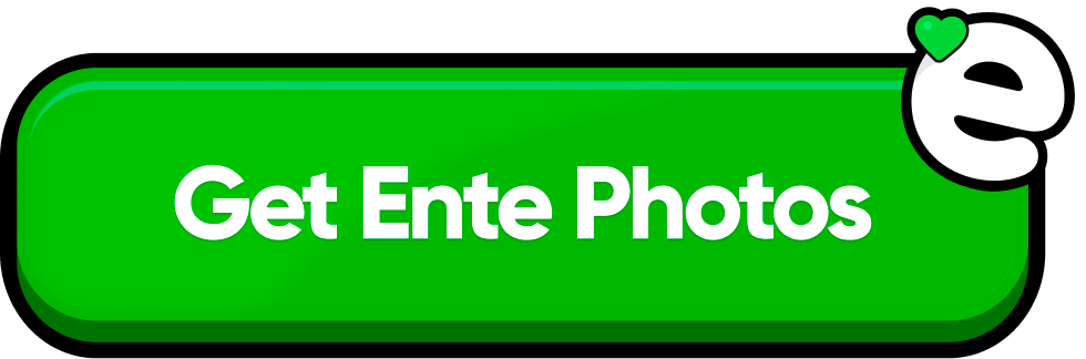Get Ente